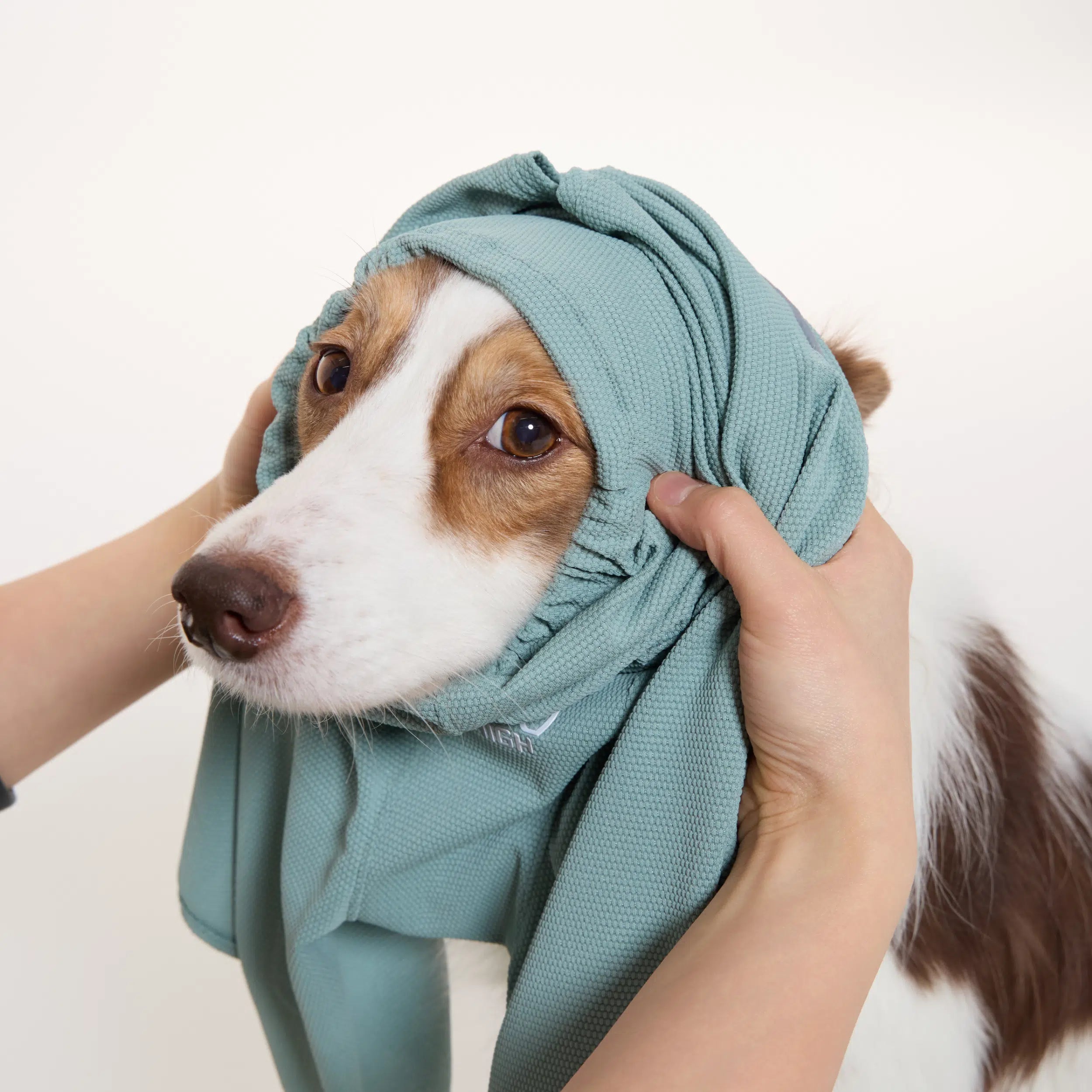 NEW】防虫アクティブスーツ Anti-Bug Active Suit – TAILHIGH