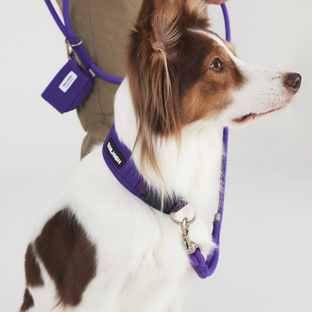 
                  
                    コンフォートカラー Comfort Collar
                  
                