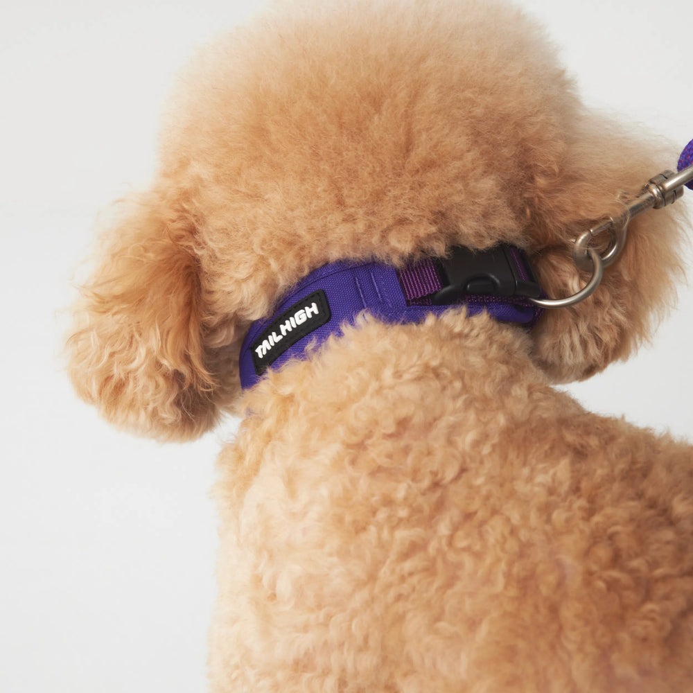 
                  
                    コンフォートカラー Comfort Collar
                  
                