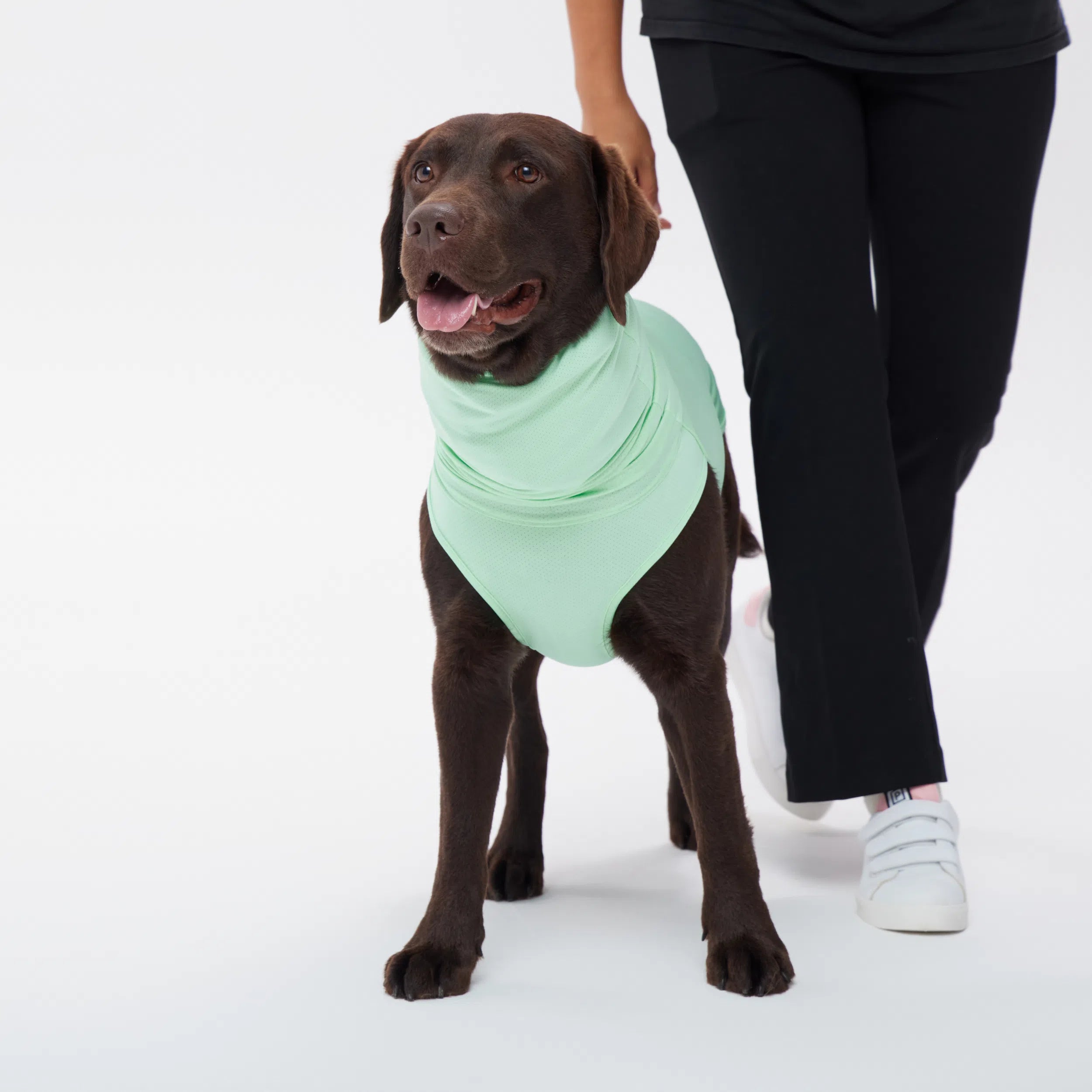 TAIL HIGH GO2 COOLING GUARD TOP Mサイズグリーン NEW】ダブルクーリングガード Go2 Cooling Guard Top – TAILHIGH