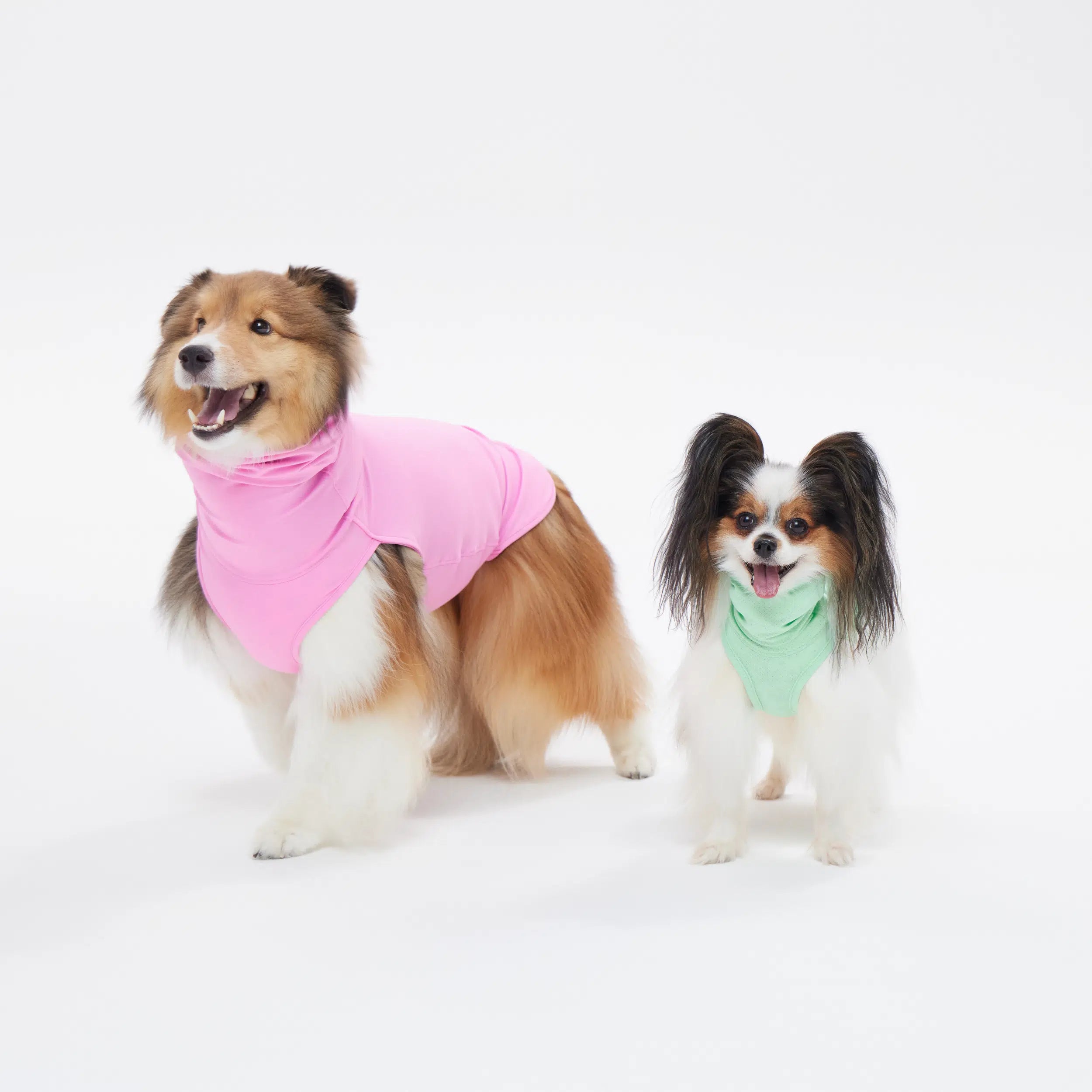 犬用クールウェア ダブルクーリングガード|TAILHIGH 犬用クールウェア ダブルクーリングガード|TAILHIGH