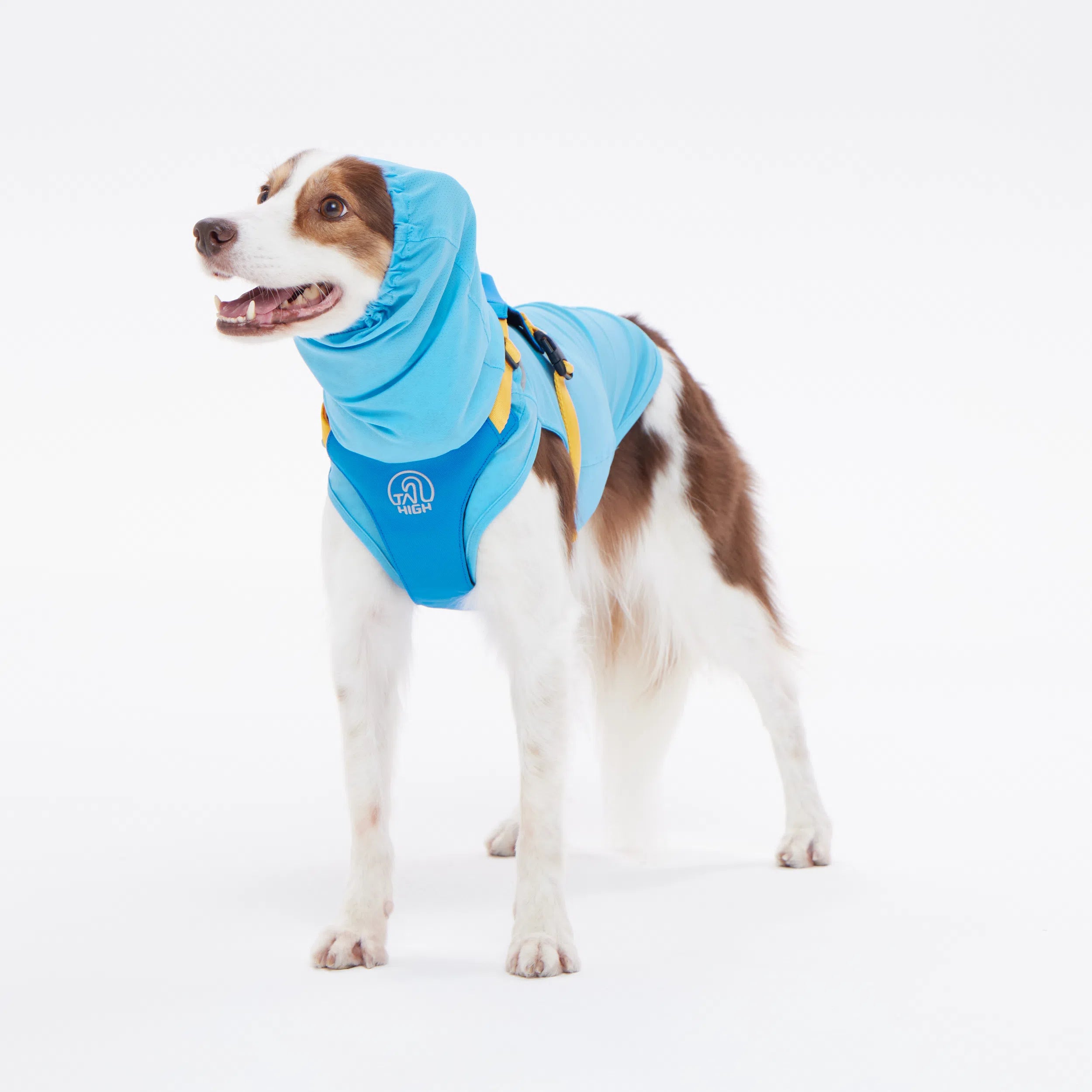NEW】ダブルクーリングガード Go2 Cooling Guard Top – TAILHIGH