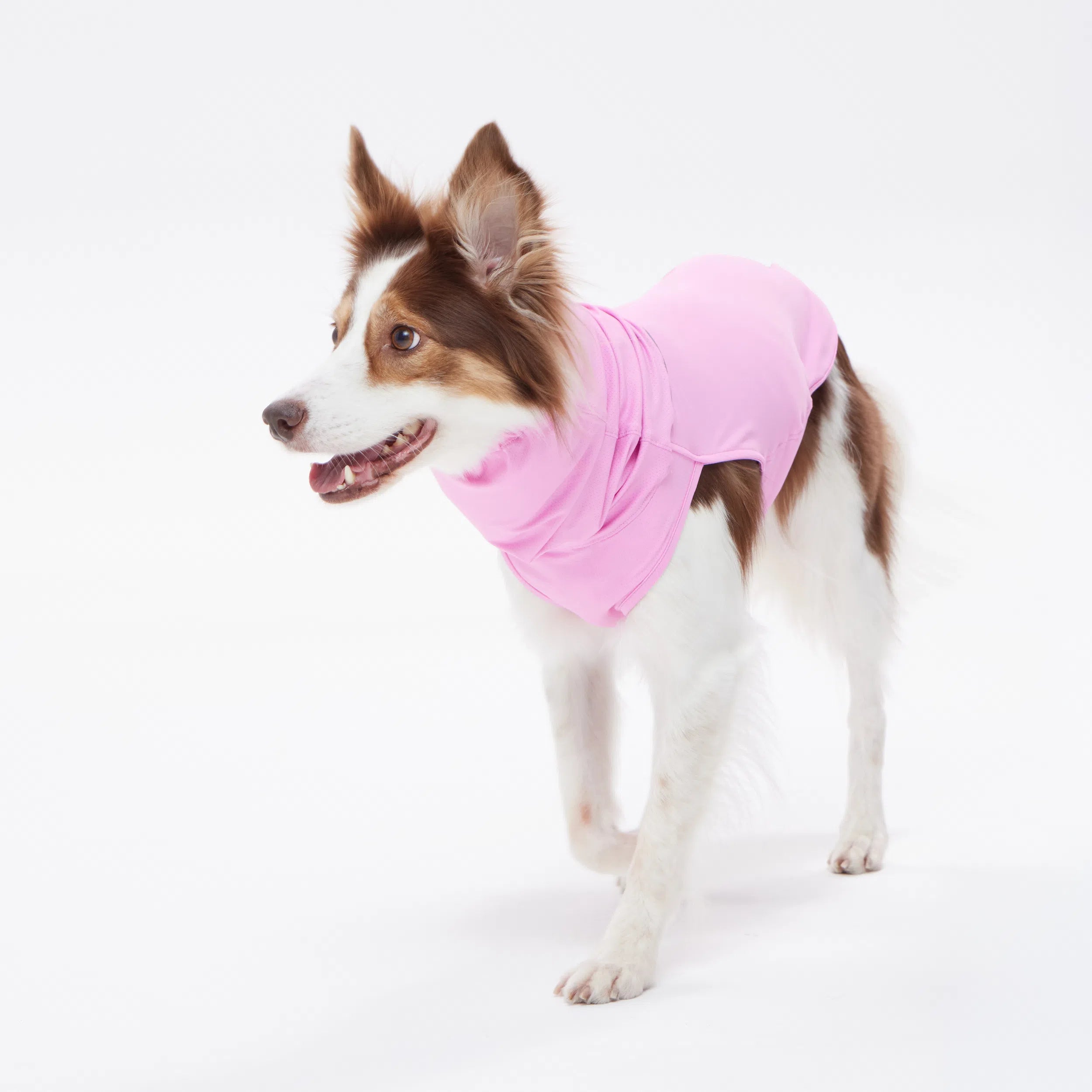 NEW】ダブルクーリングガード Go2 Cooling Guard Top – TAILHIGH