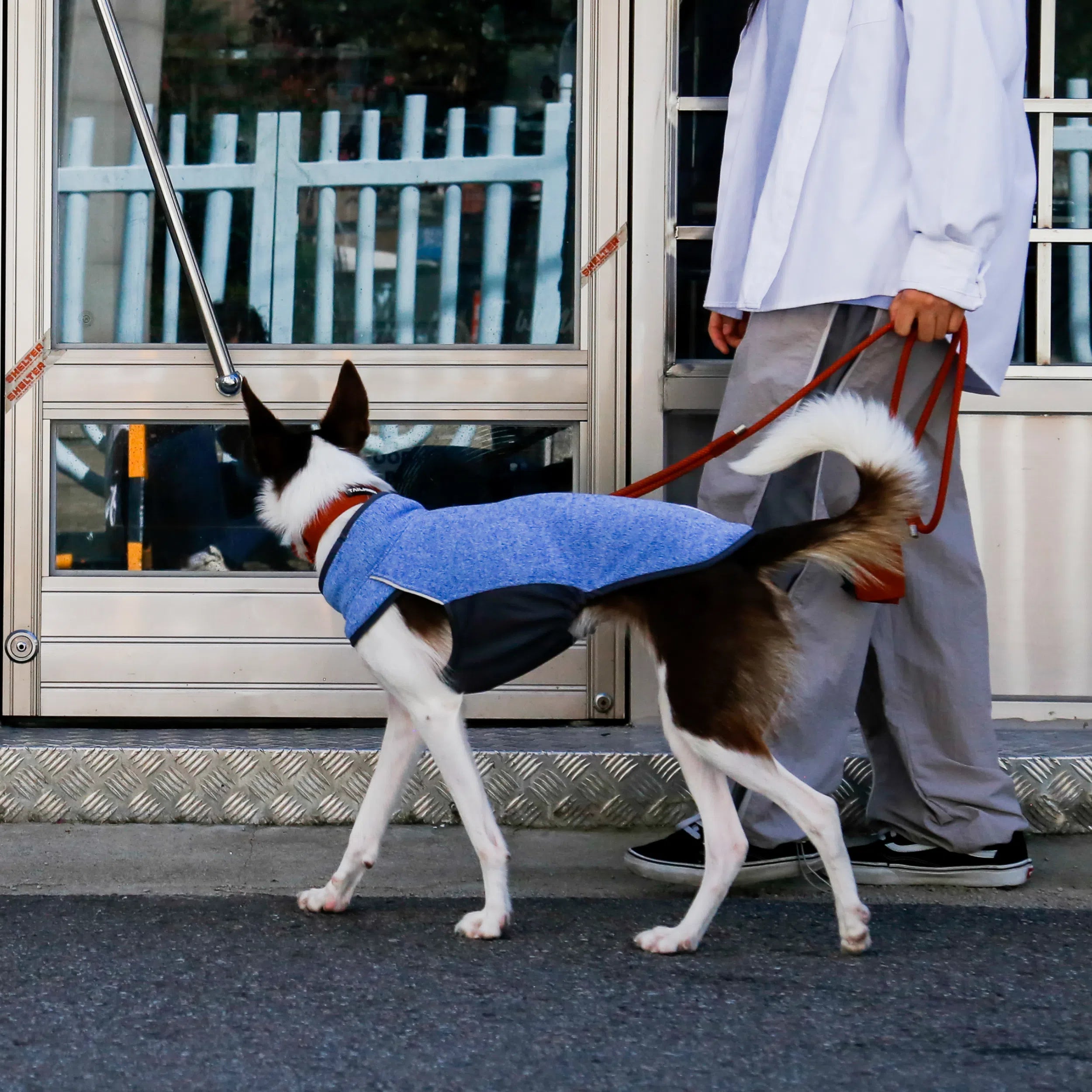 TAILHIGH テールハイ フリースピータートップ サイズML ブルー フリースヒータートップ Go2 Fleece Heater Top – TAILHIGH