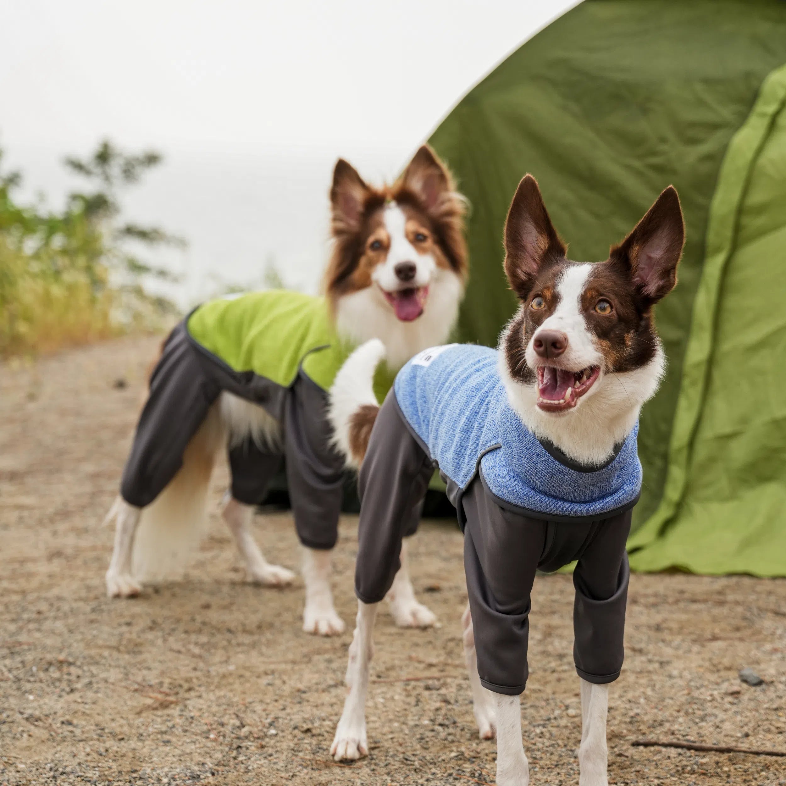 フリースヒータートップ Go2 Fleece Heater Top – TAILHIGH