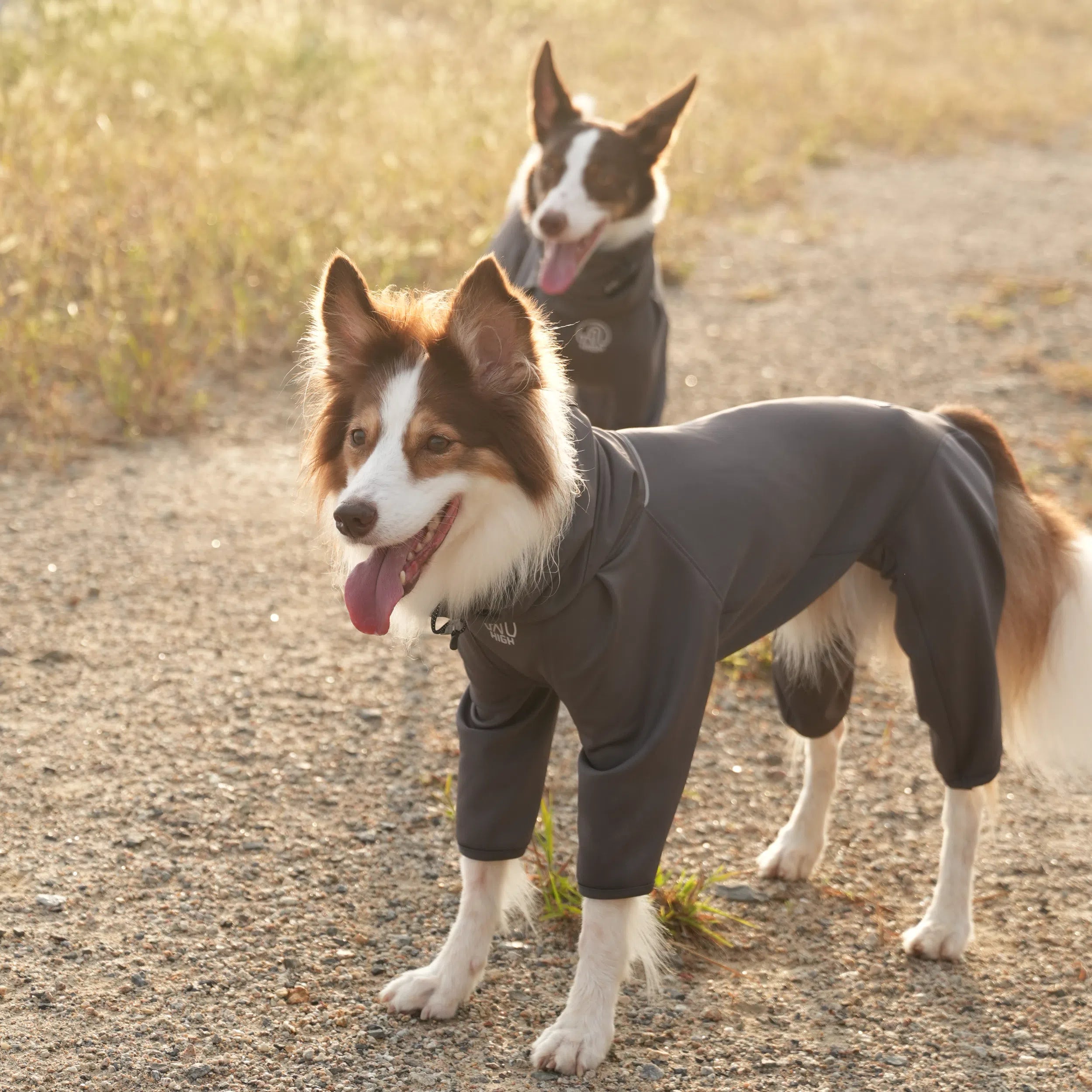 TAIL HIGHT ヒーティングベースレイヤー ヒーティングベースレイヤー Heating Active Suit – TAILHIGH