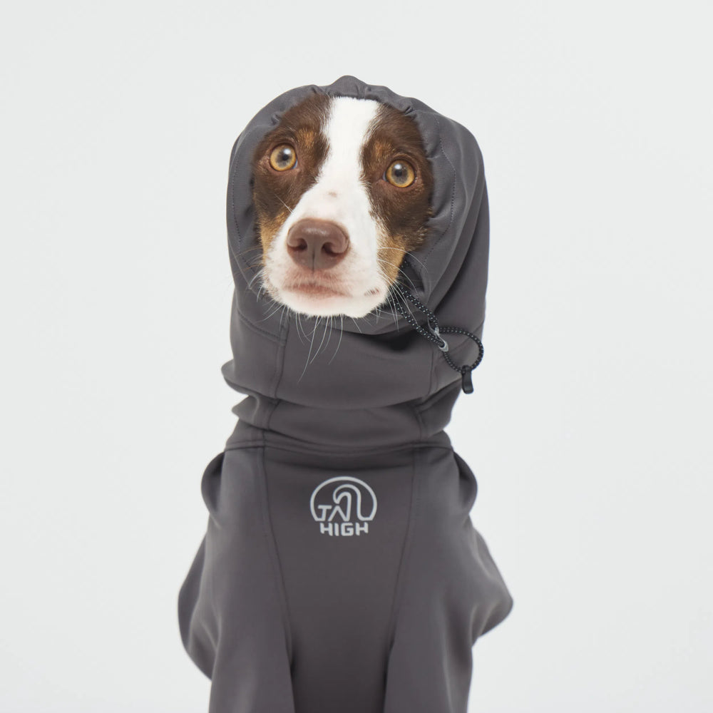 
                  
                    【NEW】ヒーティングベースレイヤー Heating Active Suit
                  
                