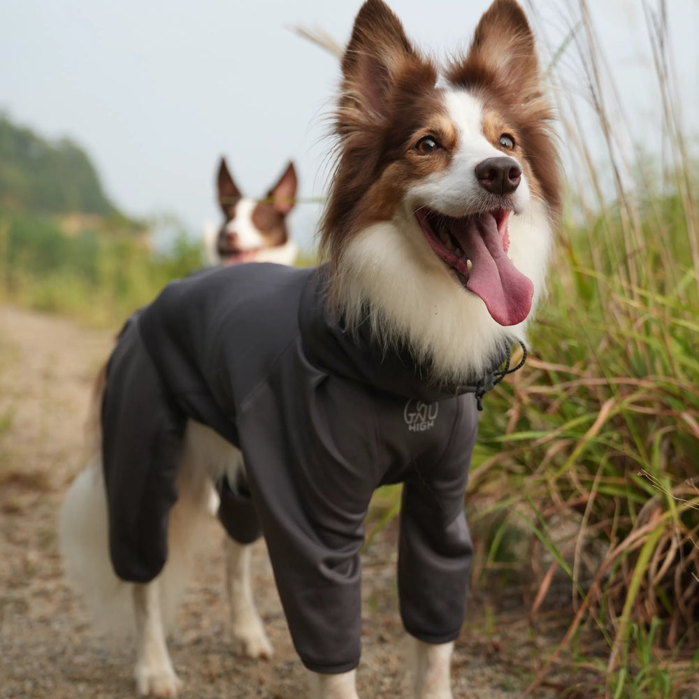 
                  
                    【NEW】ヒーティングベースレイヤー Heating Active Suit
                  
                