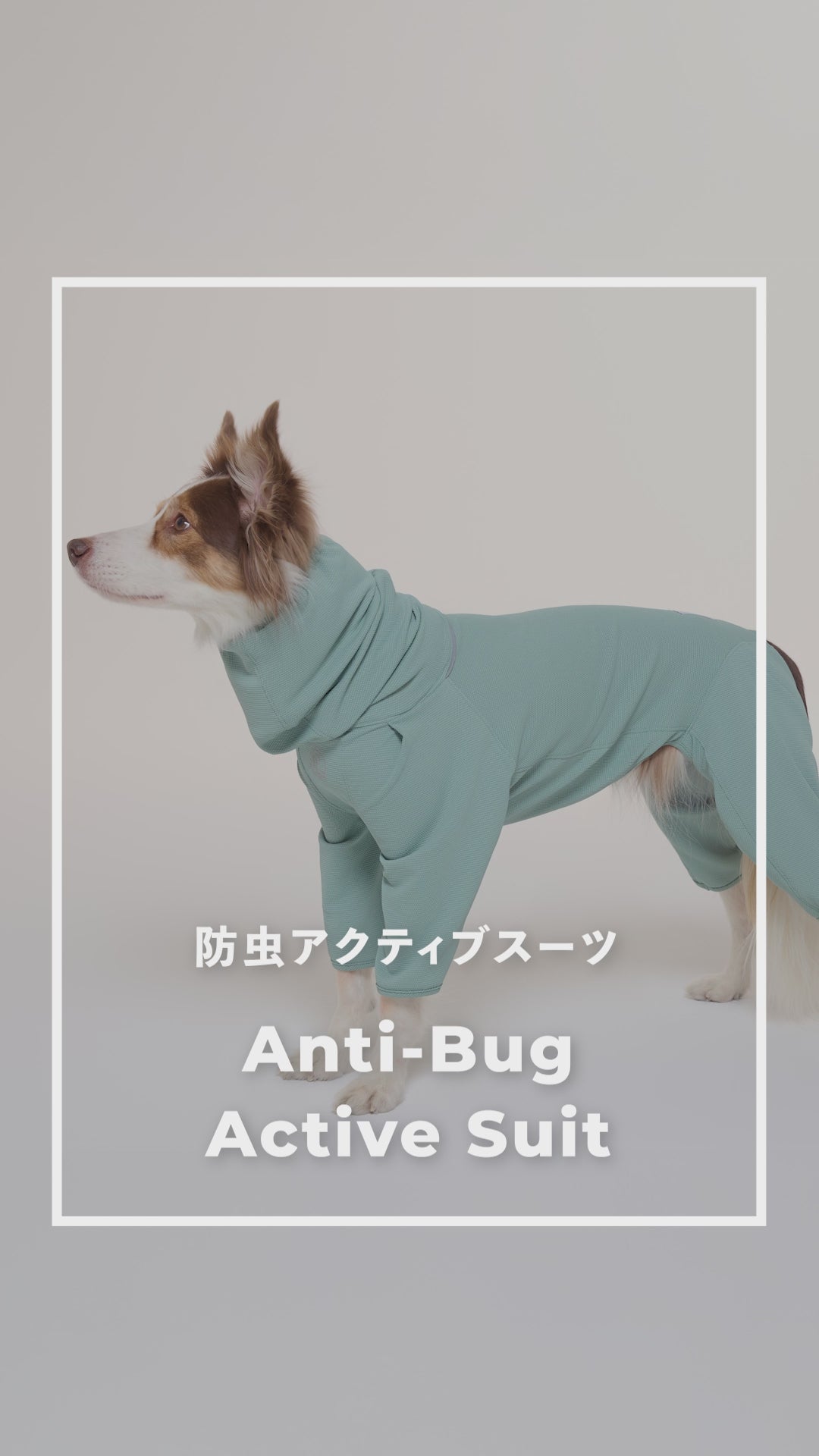 
                  
                    ギャラリービューアでビデオを読み込んで再生、【NEW】防虫アクティブスーツ Anti-Bug Active Suit
                  
                
