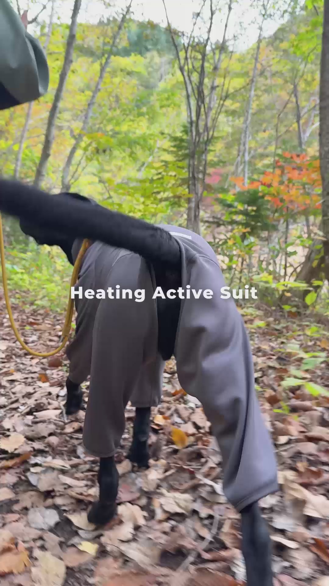ヒーティングベースレイヤー Heating Active Suit – TAILHIGH