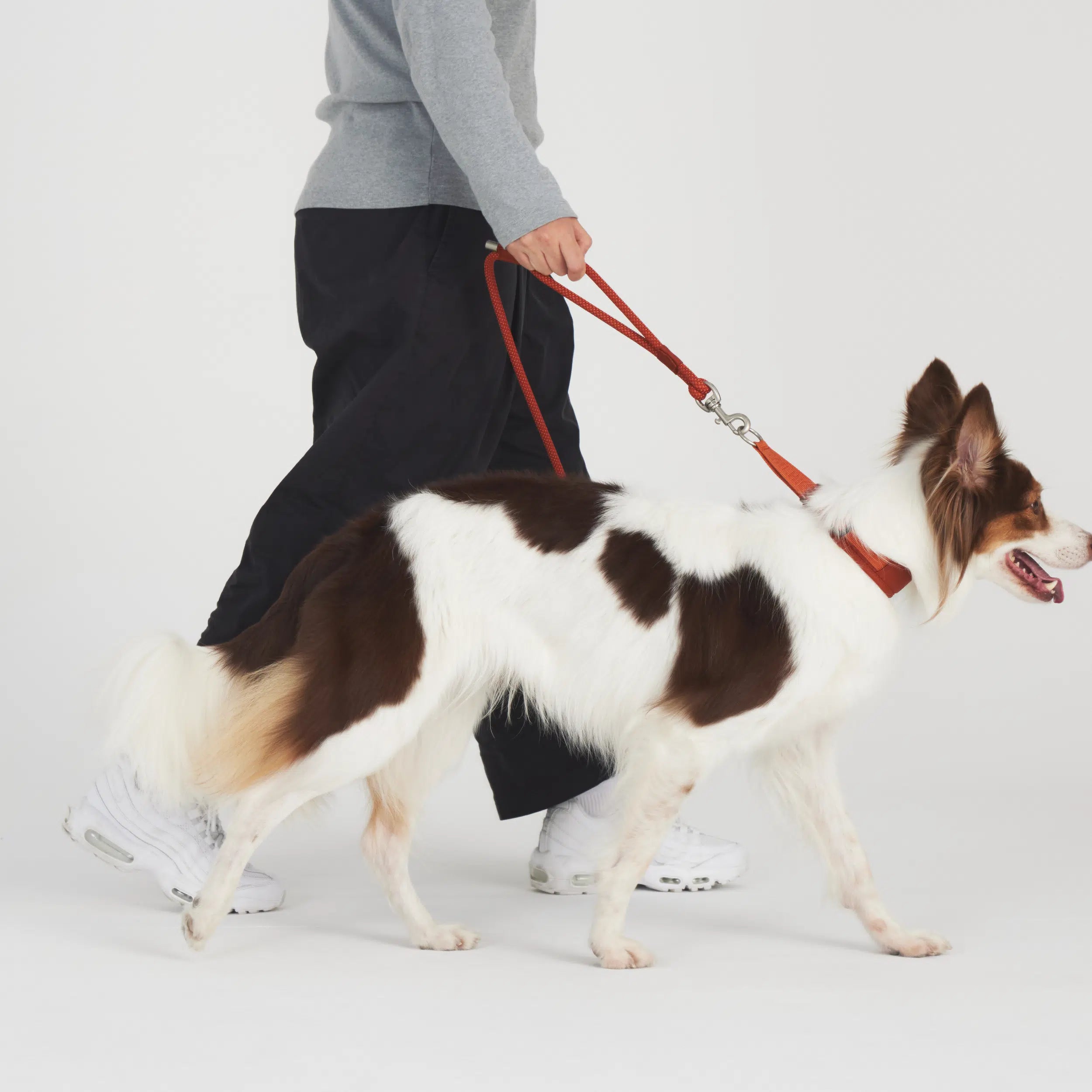 ロープリード Rope Leash – TAILHIGH