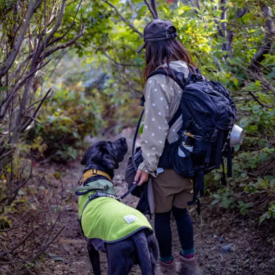 ハイキング / 登山