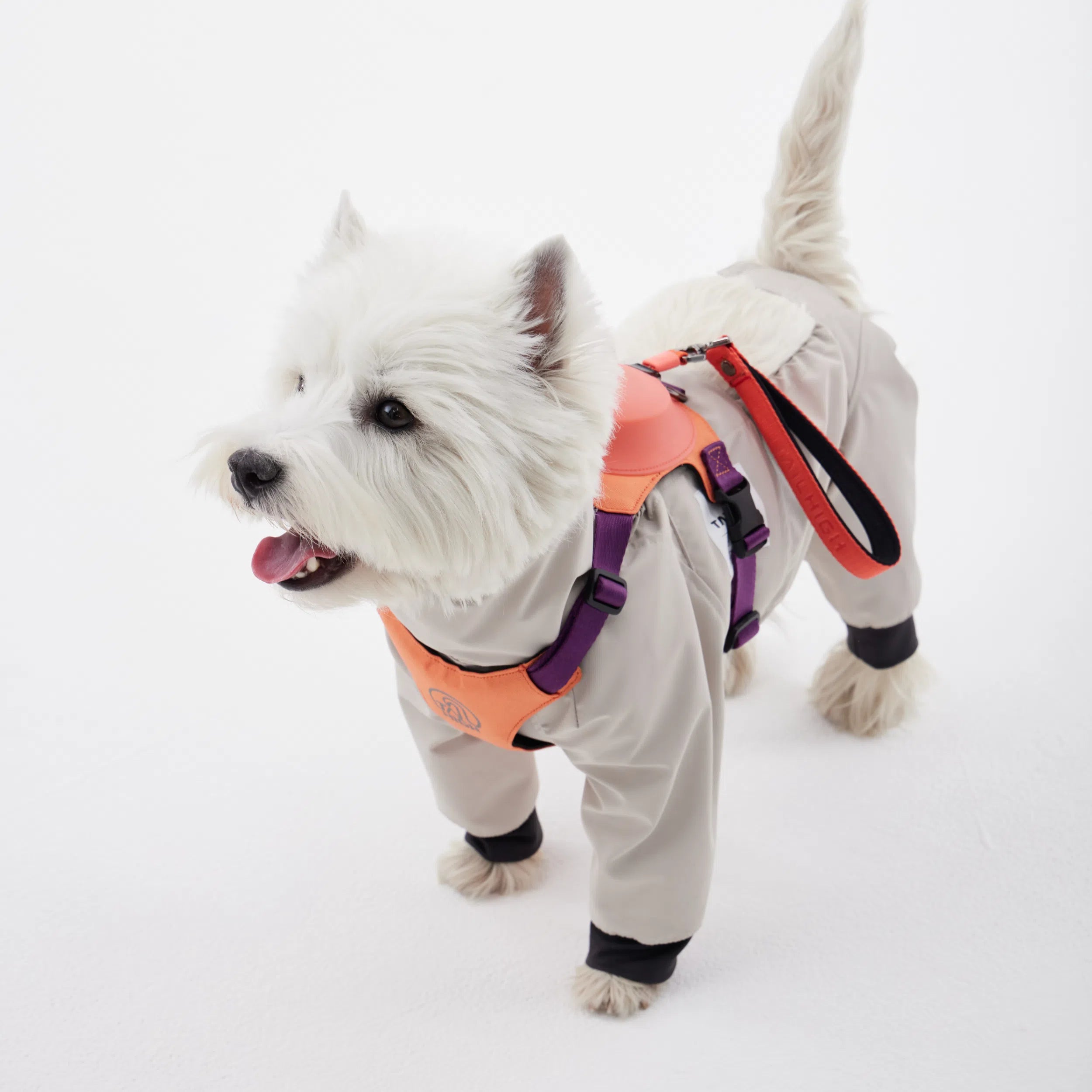 アンダーカバー Go2 Undercover – TAILHIGH アンダーカバー Go2 Undercover – TAILHIGH