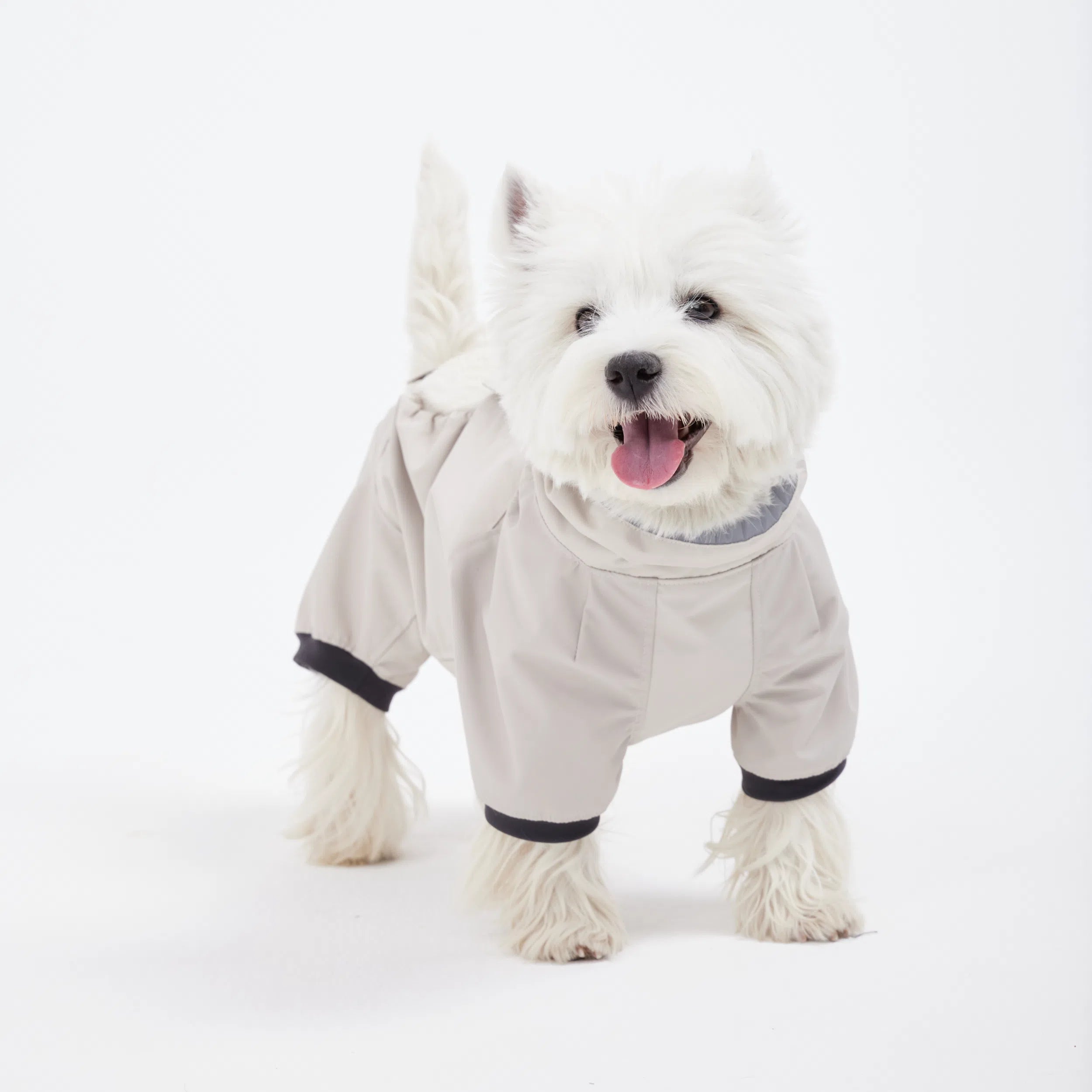 TAILHIGH アンダーカバー MLサイズ タグ付き 犬用品 TAILHIGH アンダー TAILHIGH アンダーカバー MLサイズ タグ付き 犬用品 TAILHIGH アンダー