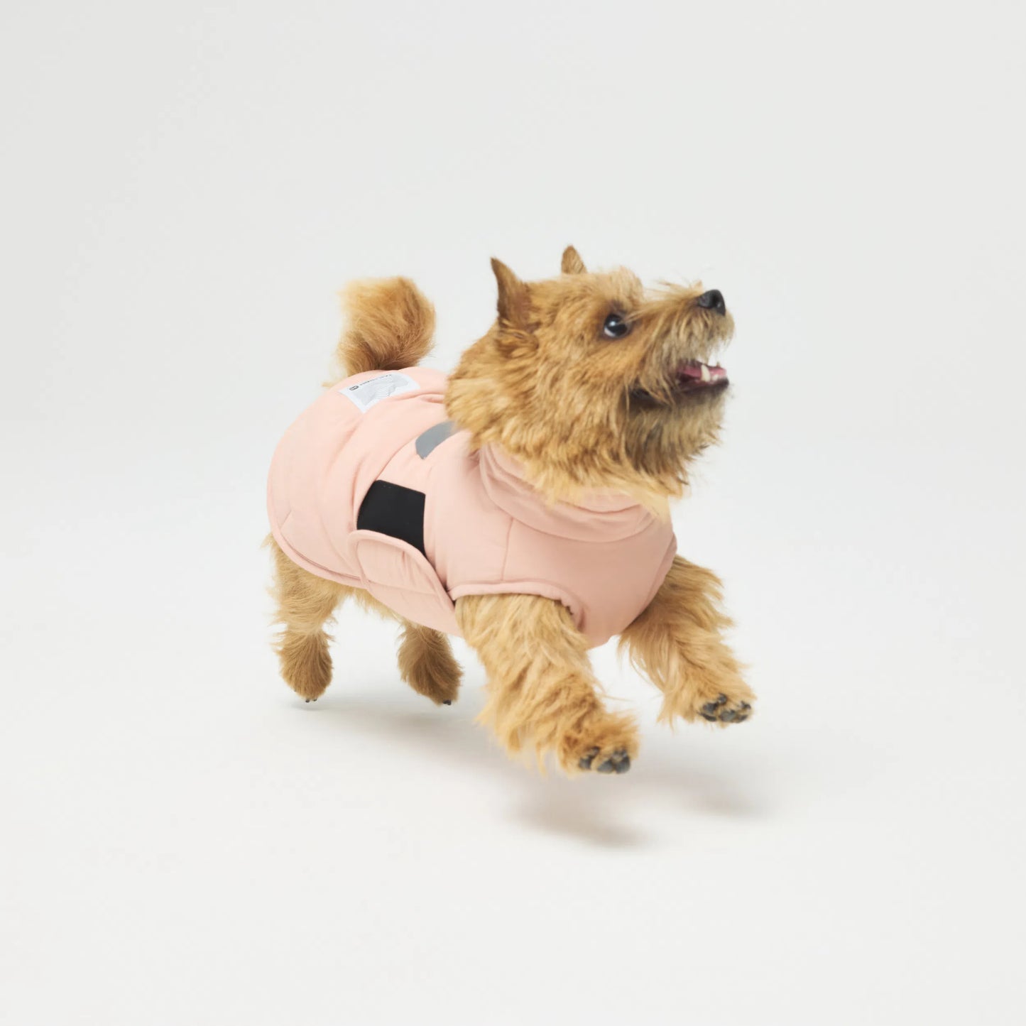 
                  
                    【NEW】ウィンタージャケット 2.0 エクストリーム Down Jumper
                  
                