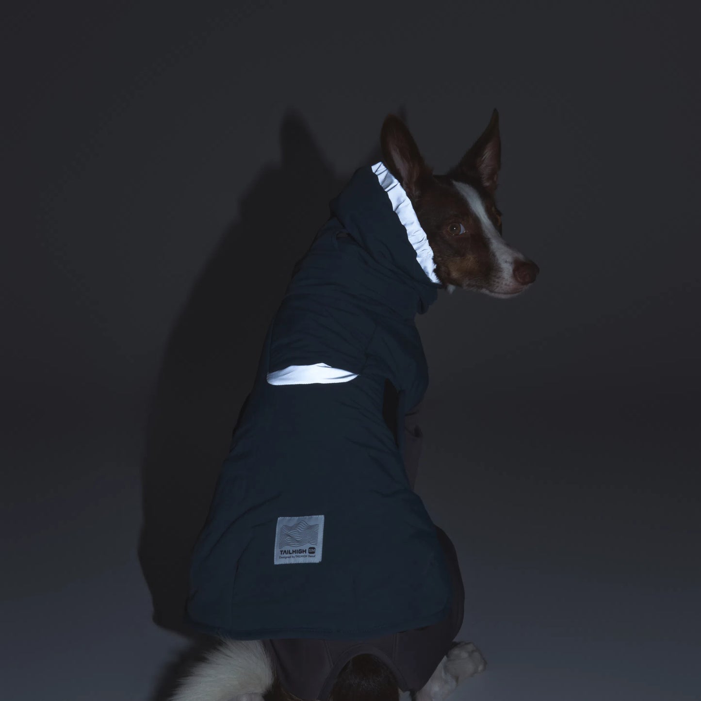 
                  
                    【NEW】ウィンタージャケット 2.0 エクストリーム Down Jumper
                  
                